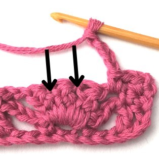 Flower and Triangle Crochet Stitch Photo Tutorial