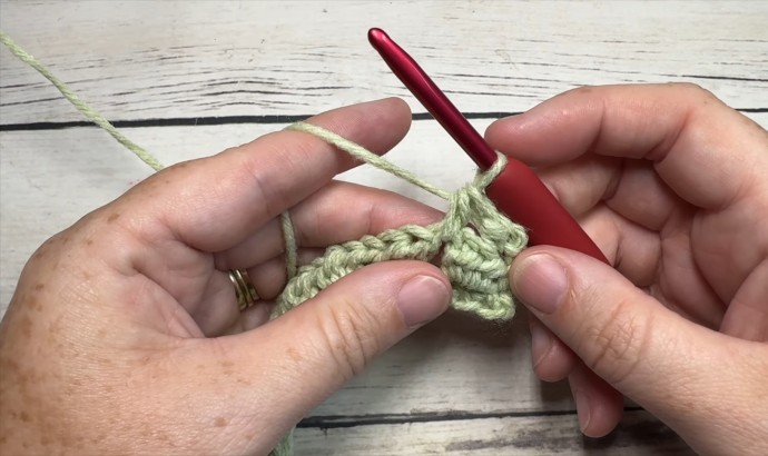 How to Crochet the Flower Bud Stitch Photo Tutorial