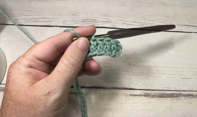 How to Crochet the 3D Twisted Shell Stitch Photo Tutorial