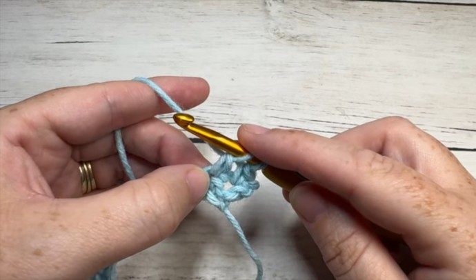 How to Crochet the Carousel Stitch Photo Tutorial