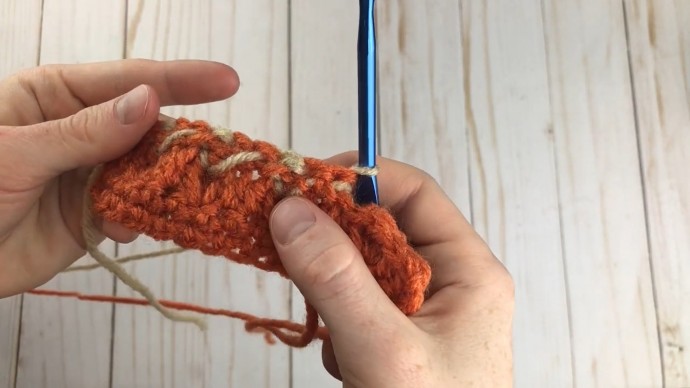 How to Crochet the Pumpkin Patch Stitch Photo Tutorial