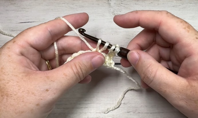 How to Crochet the Triple Cluster V-Stitch Photo Tutorial