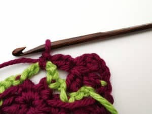 Rose Garden Crochet Stitch Photo Tutorial