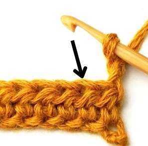 Chestnut Crochet Stitch Photo Tutorial