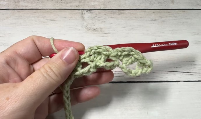 How to Crochet the Linked Shells Stitch Photo Tutorial