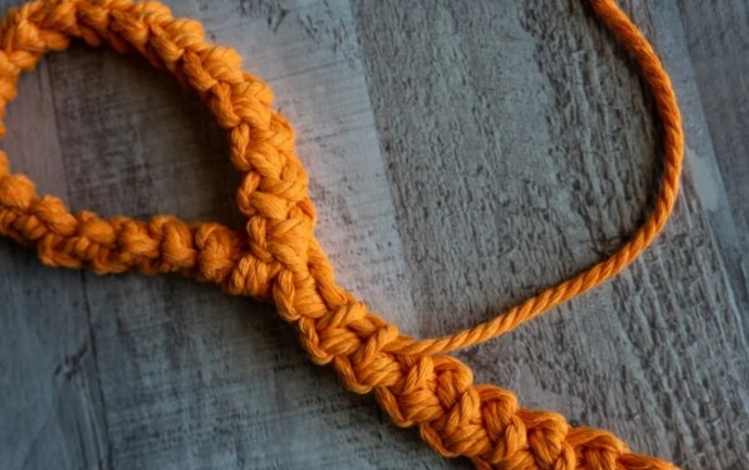 How to Crochet a Dog Leash