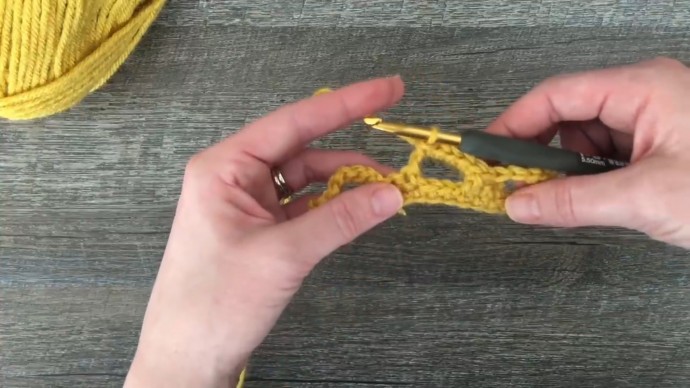 Trellis Honeycomb Crochet Stitch Photo Tutorial