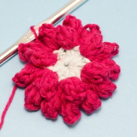 Dahlia Hexagon Crochet Pattern