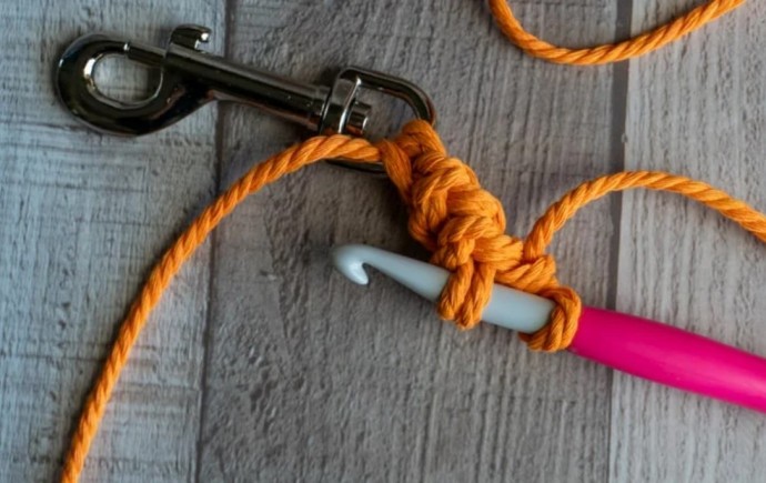 How to Crochet a Dog Leash