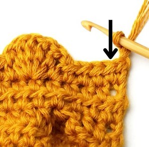 Chestnut Crochet Stitch Photo Tutorial