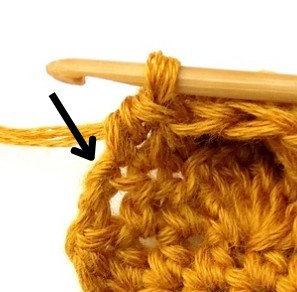Chestnut Crochet Stitch Photo Tutorial