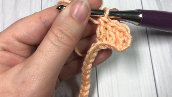 How to Crochet the Corded Ridge Stitch Photo Tutorial