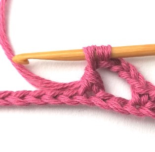 Flower and Triangle Crochet Stitch Photo Tutorial