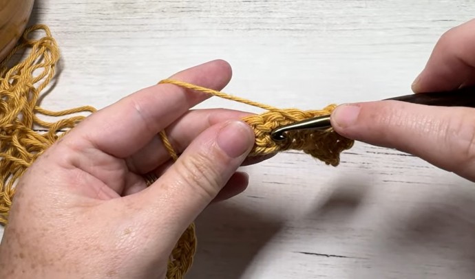 How to Crochet the Twin Stitch Photo Tutorial