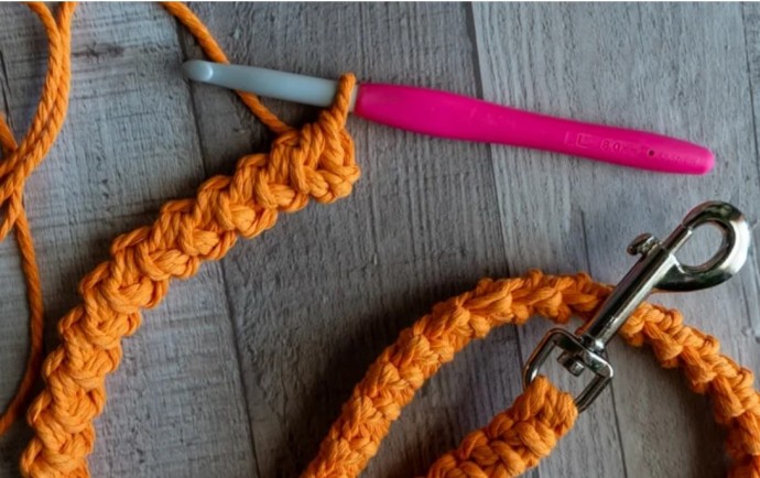 How to Crochet a Dog Leash