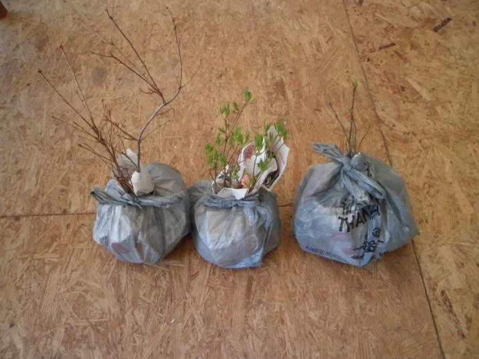 8 Awesome Uses For Plastic Bags