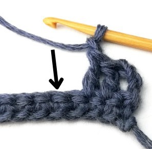 Blueberry Crochet Stitch Photo Tutorial