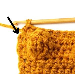 Chestnut Crochet Stitch Photo Tutorial