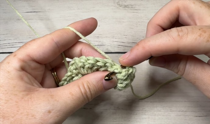 How to Crochet the Swallowtail Stitch Photo Tutorial