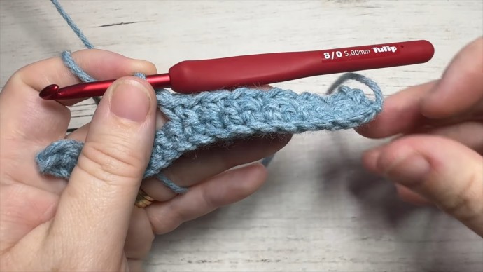 How to Crochet the Cluster Moss Stitch Photo Tutorial