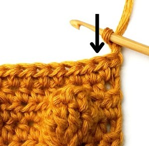Chestnut Crochet Stitch Photo Tutorial