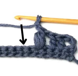 Blueberry Crochet Stitch Photo Tutorial