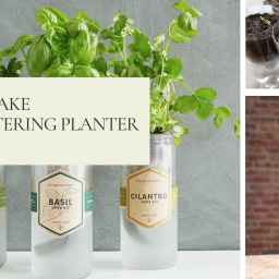 Garden Hacks: Make a Self-Watering Planter
