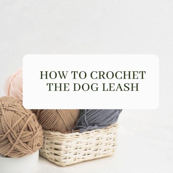 How to Crochet a Dog Leash