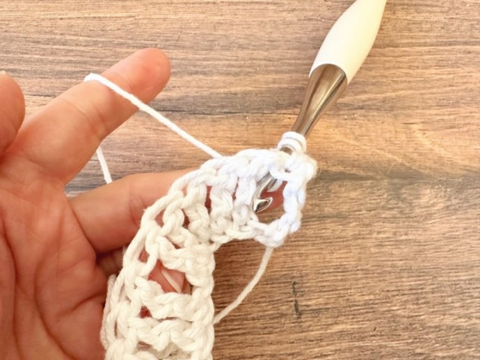 How to Crochet the Back Post Treble (BPtr) Photo Tutorial
