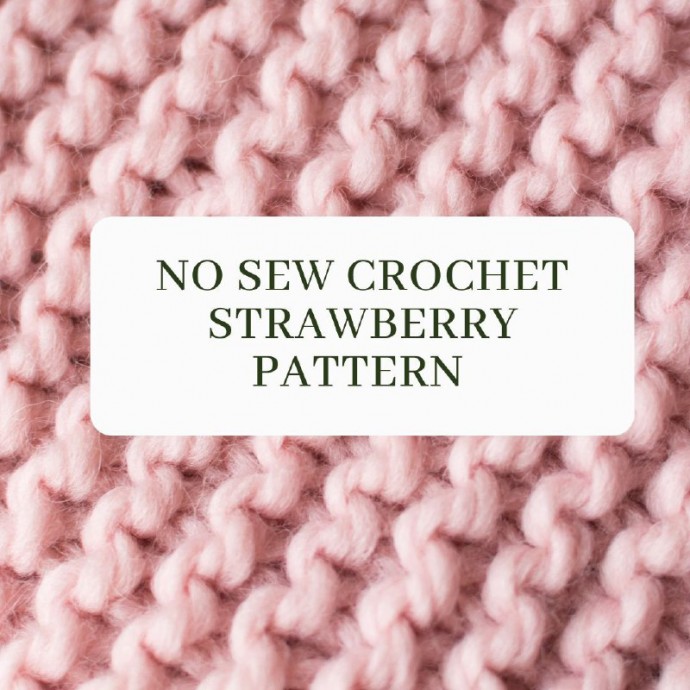 No Sew Crochet Strawberry Pattern