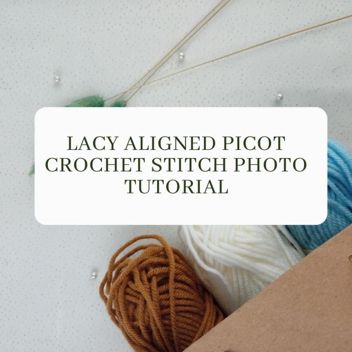 Lacy Aligned Picot Crochet Stitch Photo Tutorial