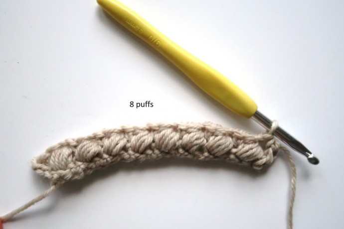 Braided Puff Crochet Stitch Photo Tutorial