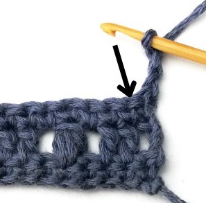 Blueberry Crochet Stitch Photo Tutorial