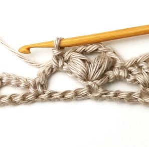 How to Crochet the Shell and Puff V Stitch Photo Tutorial