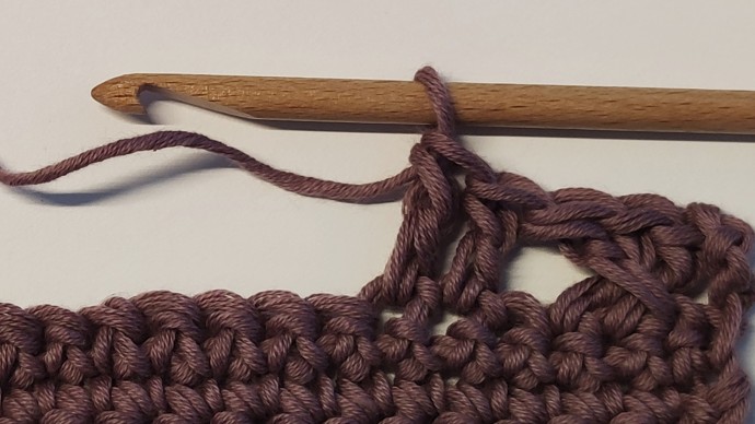 How to Crochet the Crossed Mesh Double Stitch Photo Tutorial