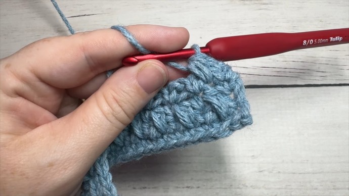 How to Crochet the Cluster Moss Stitch Photo Tutorial