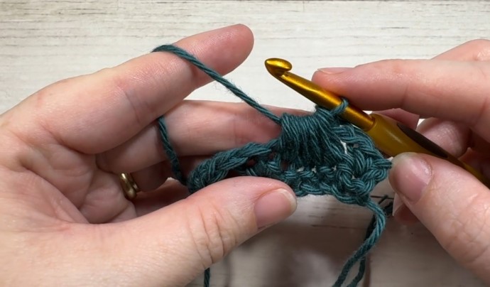 How to Crochet the Seashell Stitch Photo Tutorial