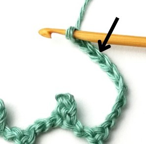 Wild Net Crochet Stitch Photo Tutorial