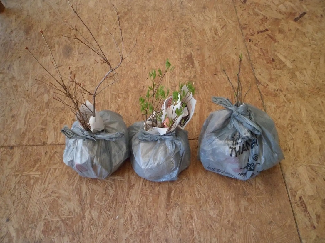 8 Awesome Uses For Plastic Bags — Brilliant Life Hacks