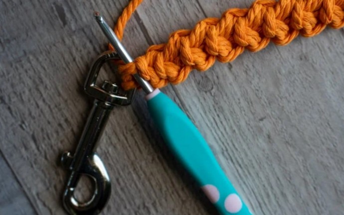 How to Crochet a Dog Leash