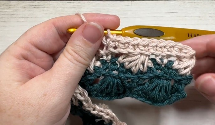 How to Crochet the Seashell Stitch Photo Tutorial