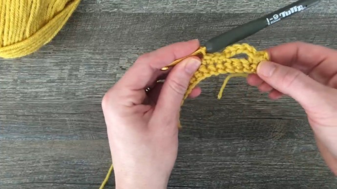 Trellis Honeycomb Crochet Stitch Photo Tutorial