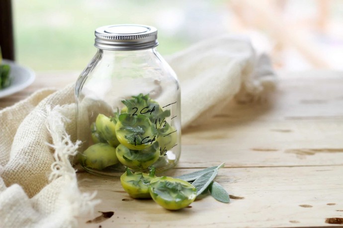 How to Preserve and Store Fresh Herbs