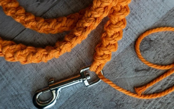 How to Crochet a Dog Leash