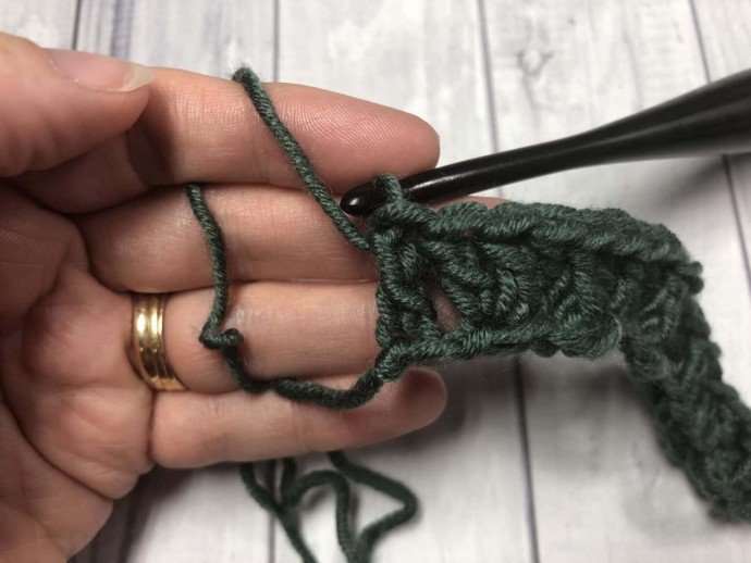 How to Crochet the Twin V Stitch Photo Tutorial