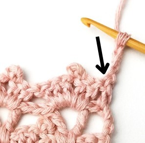 Lacy Cupcake Crochet Stitch Photo Tutorial