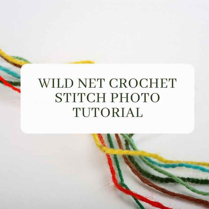Wild Net Crochet Stitch Photo Tutorial