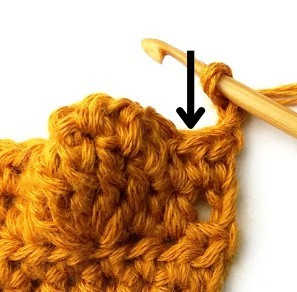 Chestnut Crochet Stitch Photo Tutorial