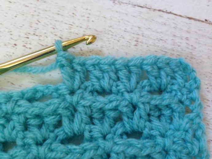 How to Crochet the Raised V-Stitch Photo Tutorial