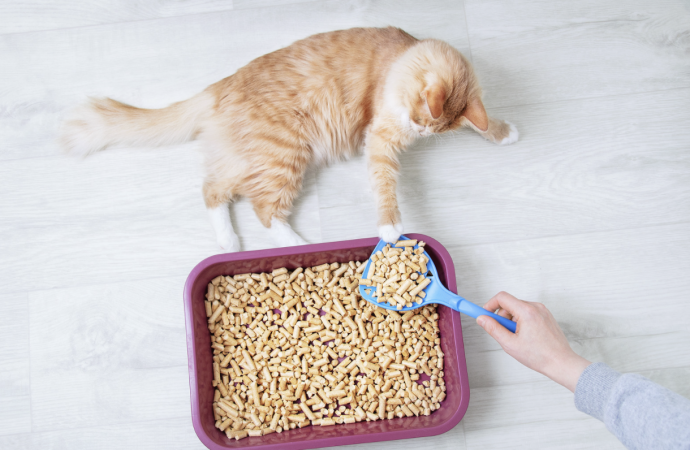 Nifty Cleaning Tips for Pet Owners
